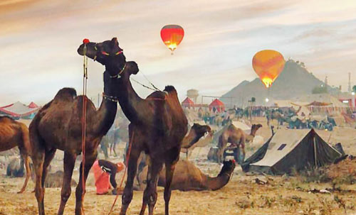 Pushkar Fair Tour with Golden Triangle